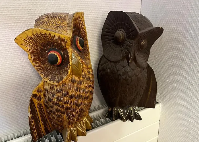 Couette-café Rainbows End